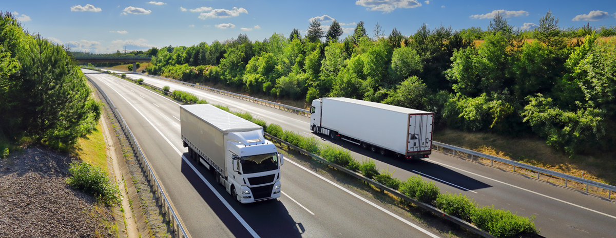 DSV: På vej mod nye højder